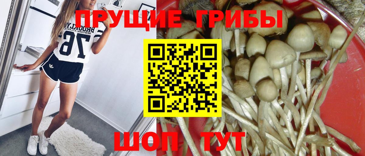 Галлюциногенные грибы GOLDEN TEACHER  Томск  Галлюциногенные грибы MAGIC MUSHROOMS 