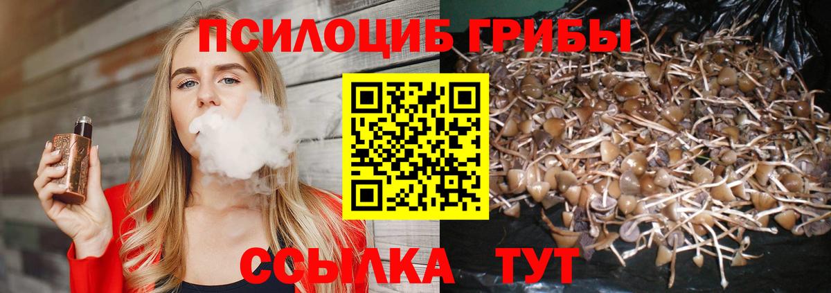 Галлюциногенные грибы GOLDEN TEACHER Томск