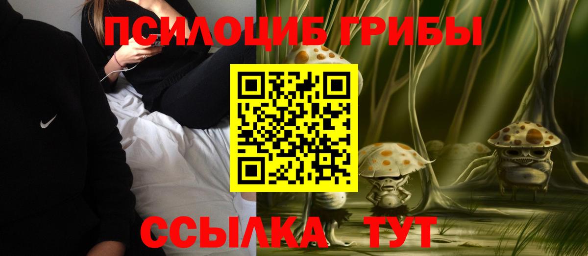 Галлюциногенные грибы GOLDEN TEACHER Томск