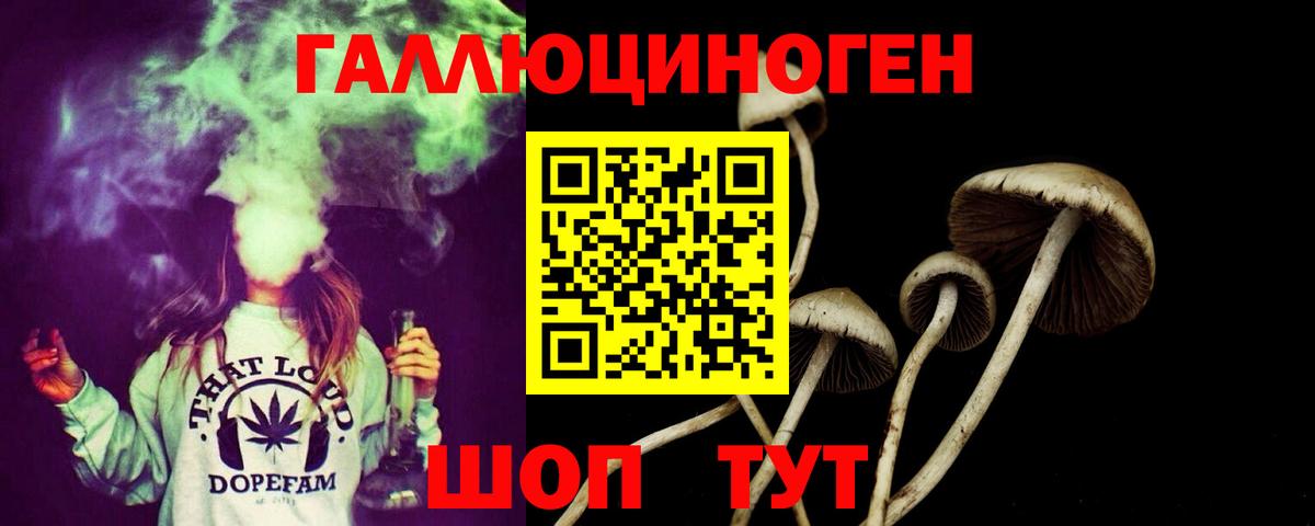 Галлюциногенные грибы мухоморы  Вход с VPN  Томск  Псилоцибиновые грибы GOLDEN TEACHER 